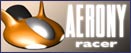 multiplayer racing game