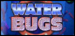 Water Bugs