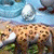 Farm Frenzy 3